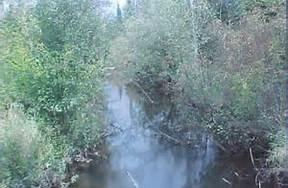 Pine River