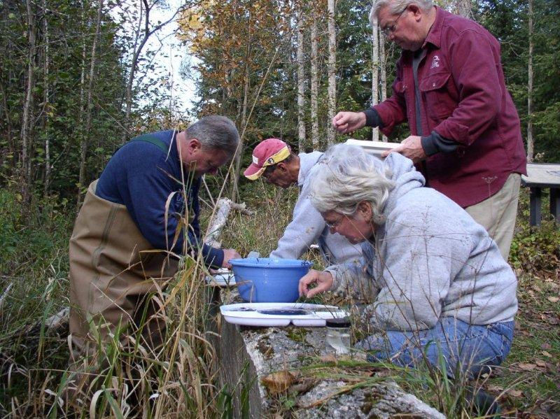 River Sampling